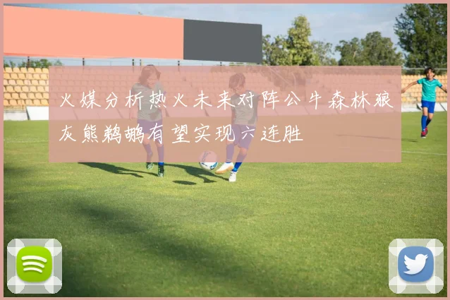 火媒分析热火未来对阵公牛森林狼灰熊鹈鹕有望实现六连胜