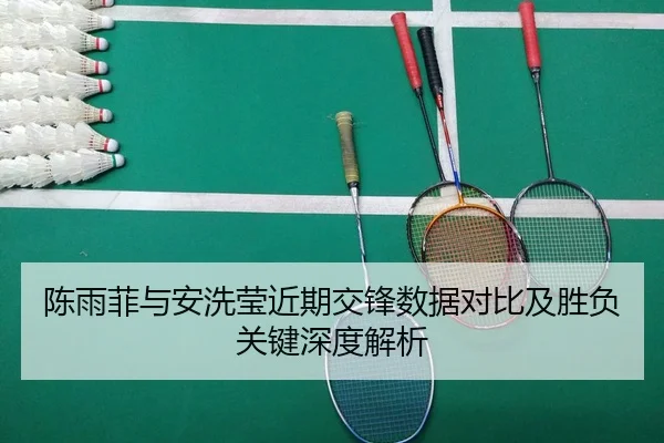 陈雨菲与安洗莹近期交锋数据对比及胜负关键深度解析