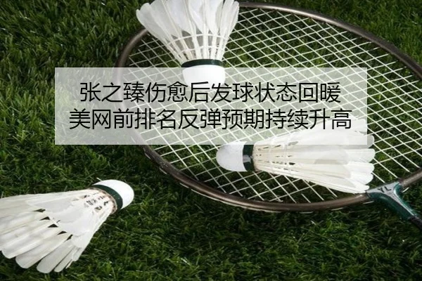 张之臻伤愈后发球状态回暖 美网前排名反弹预期持续升高